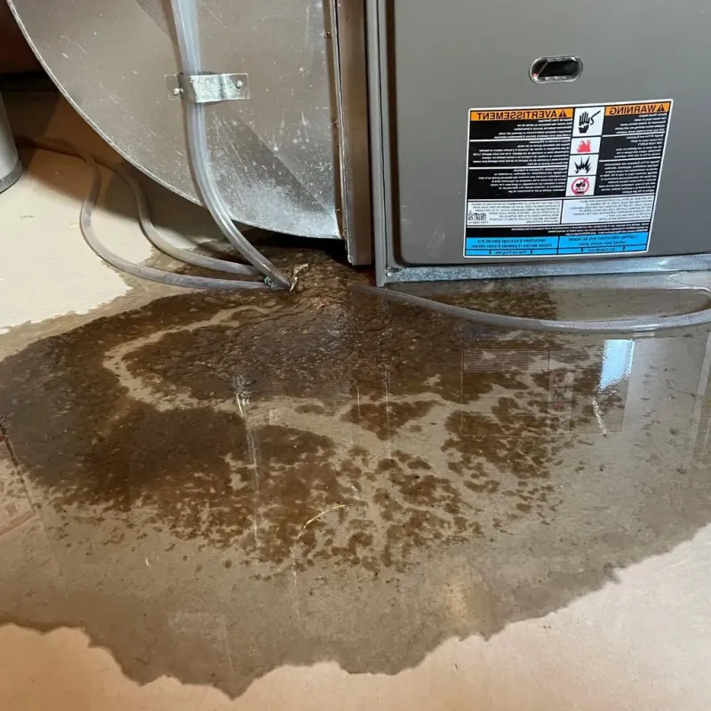 Pipe Burst and Leak Restoration in Mount Holly Springs, PA